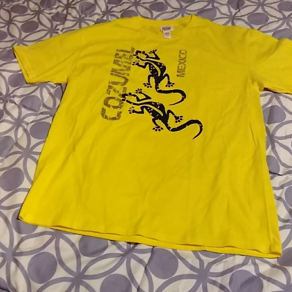 comfort  colours mens tshirt